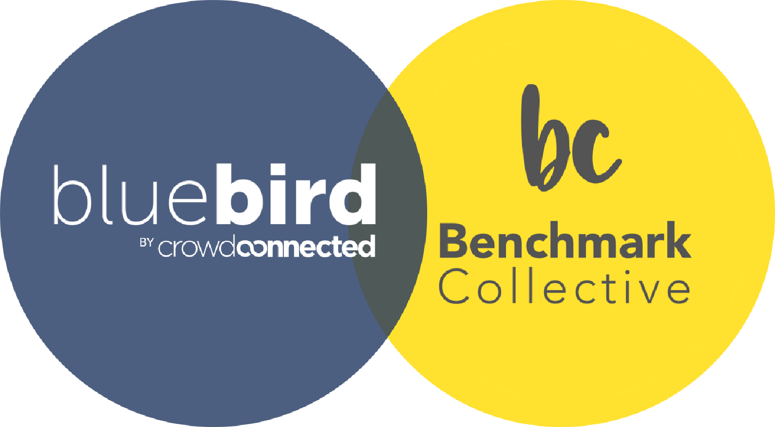 Crowd Connected and Benchmark Collective partner